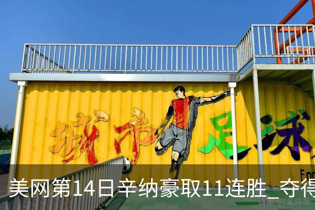 美网第14日辛纳豪取11连胜 夺得生涯大满贯第2冠